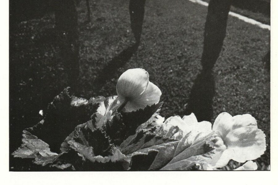 Bořek Sousedík, Bez názvu, Chebzí 1982